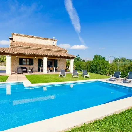 Mastaguera Roger By Sealand