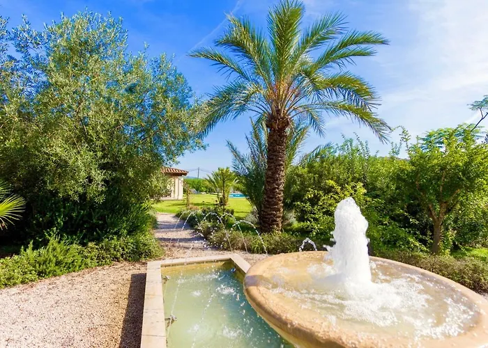 Mastaguera Roger By Sealand Pollenca