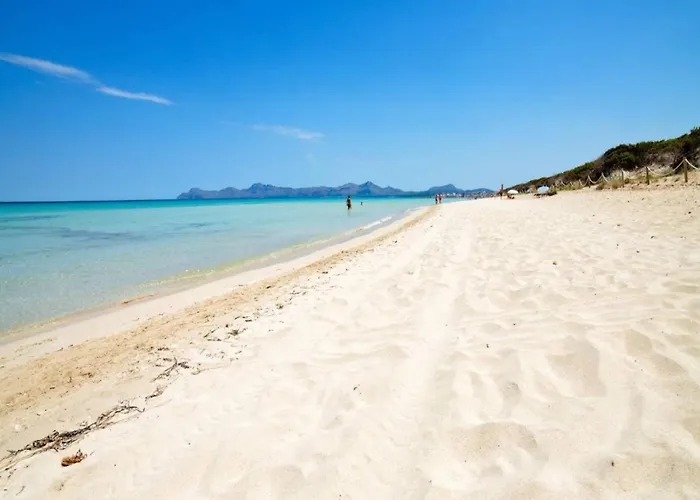 Mastaguera Roger By Sealand Pollenca